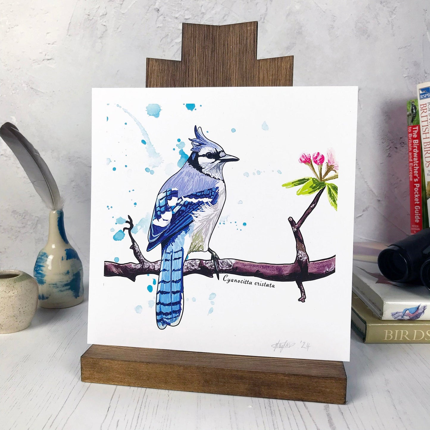 SECOND - Bluejay Print