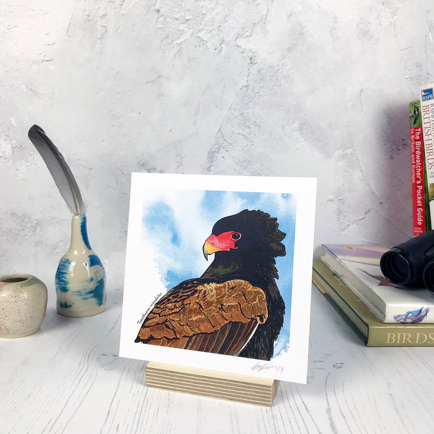 Bateleur Eagle Print