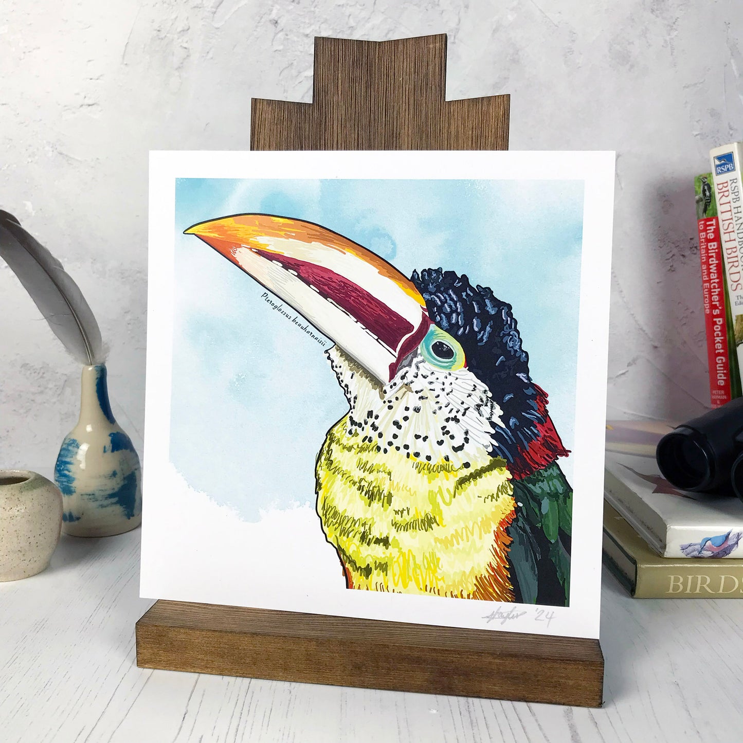 Curl-crested Aracari Print