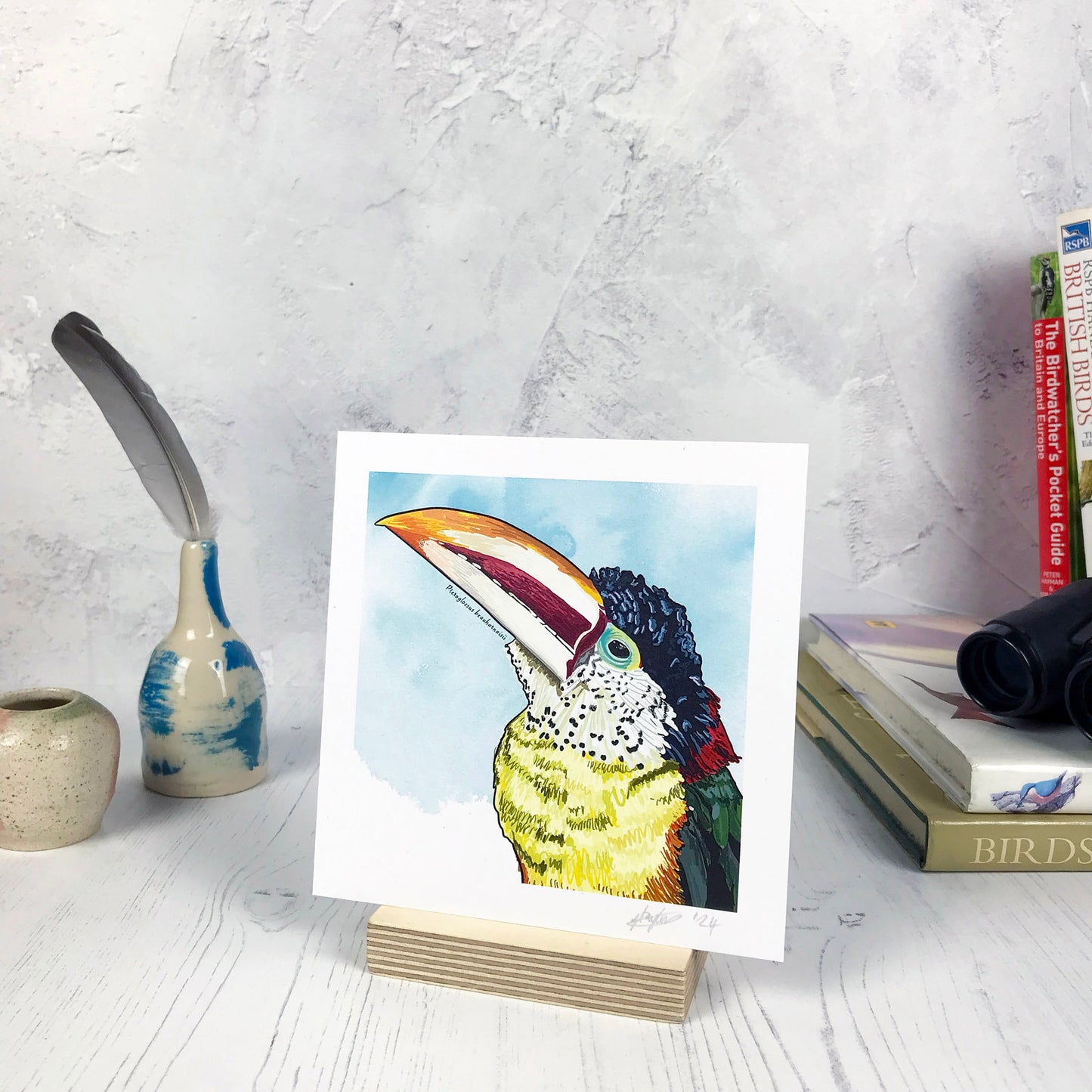 Curl-crested Aracari Print