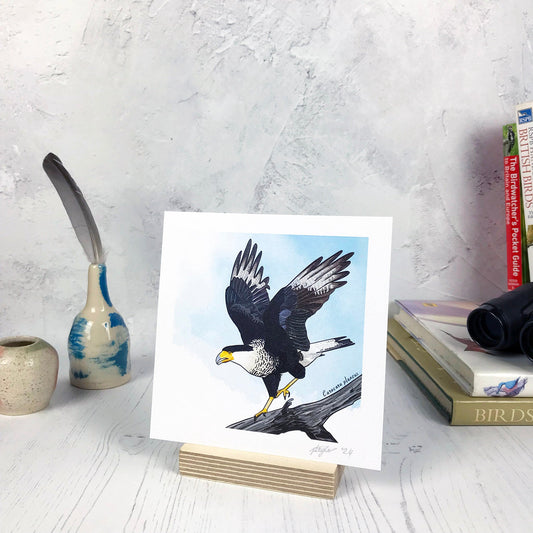 SECOND - Crested Caracara Print