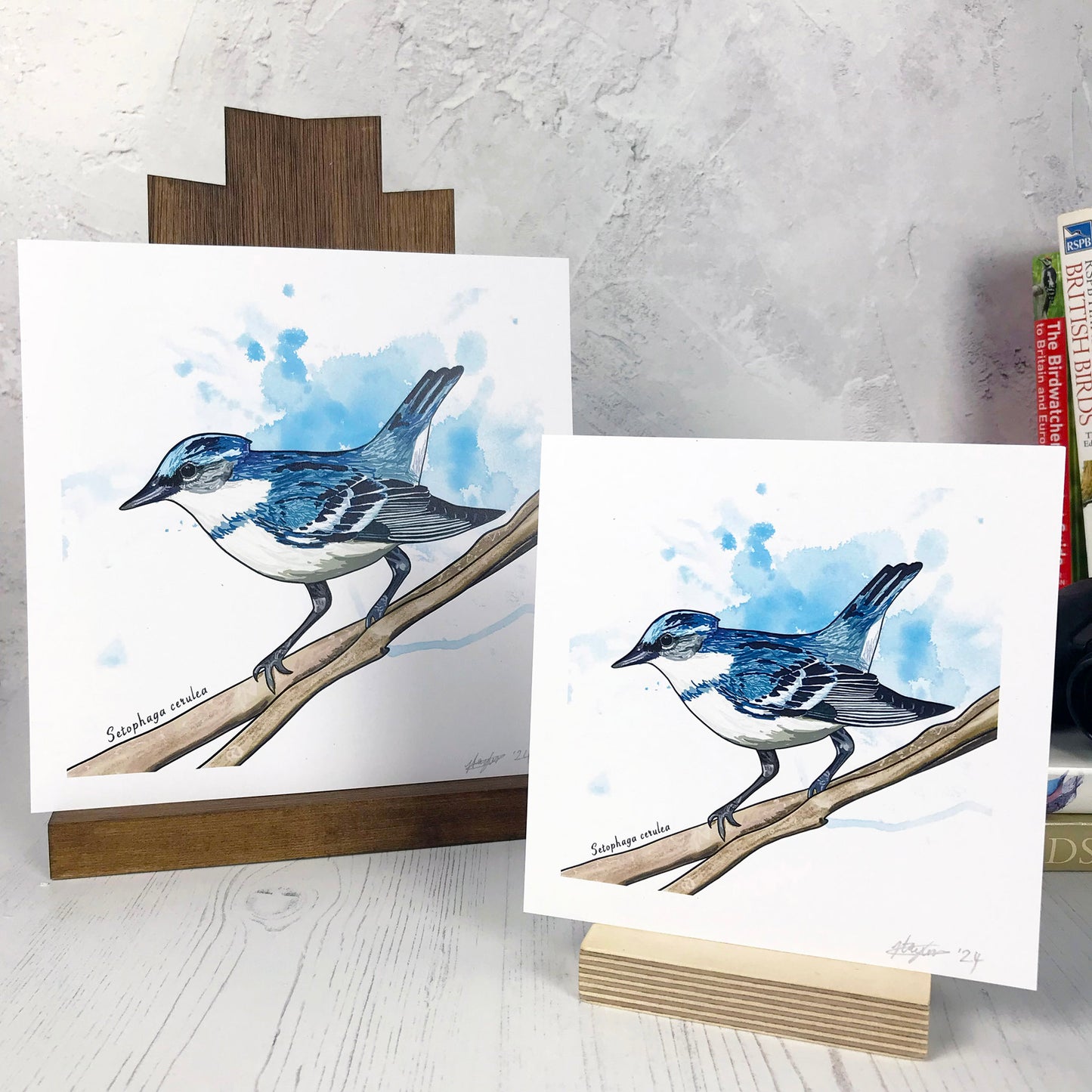 Cerulean Warbler Print