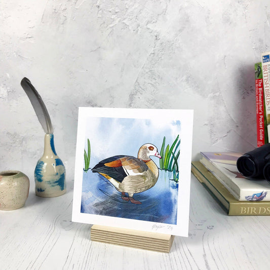 SECOND - Egyptian Goose Print