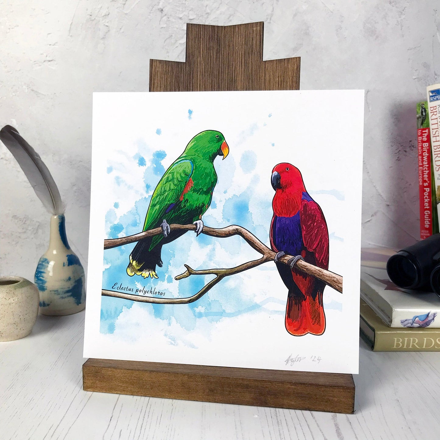 SECOND - Eclectus Parrot Print