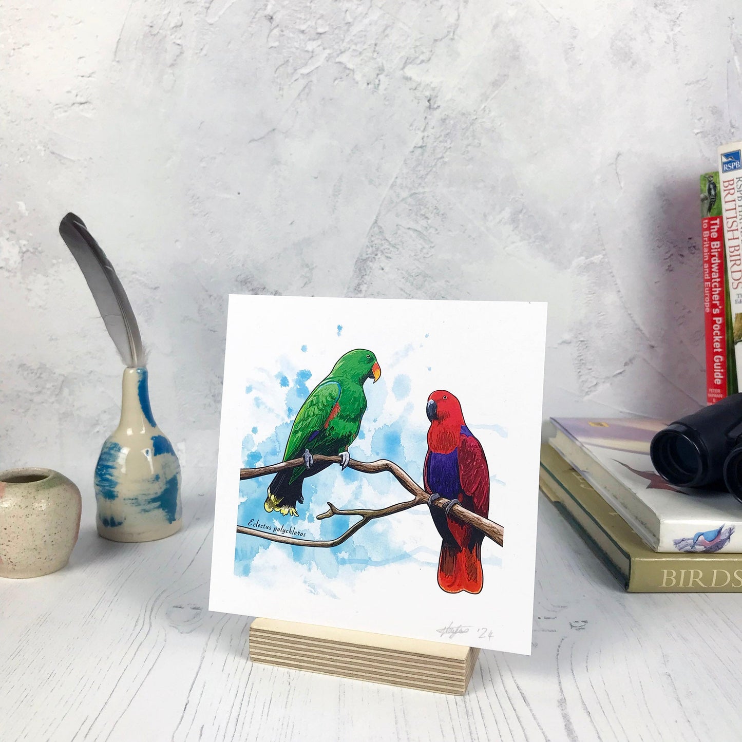 SECOND - Eclectus Parrot Print