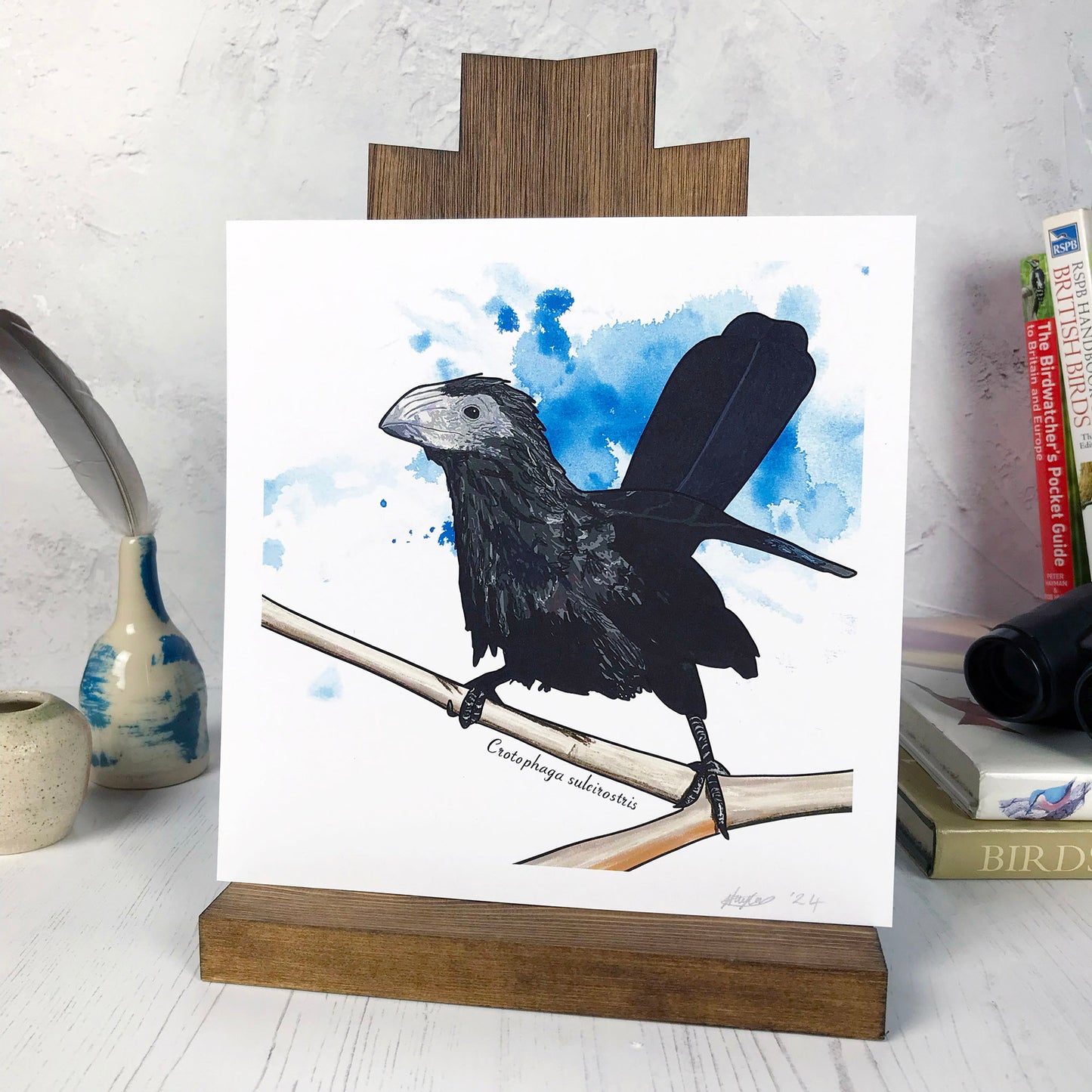 Groove Billed Ani Print