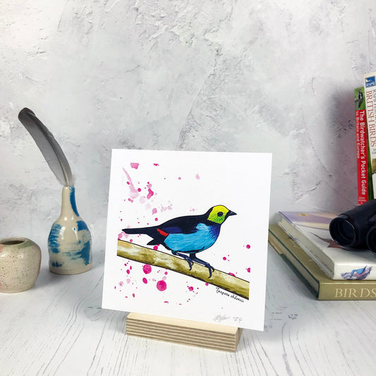 Paradise Tanager Print