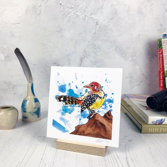 Red and Yellow Barbet Print