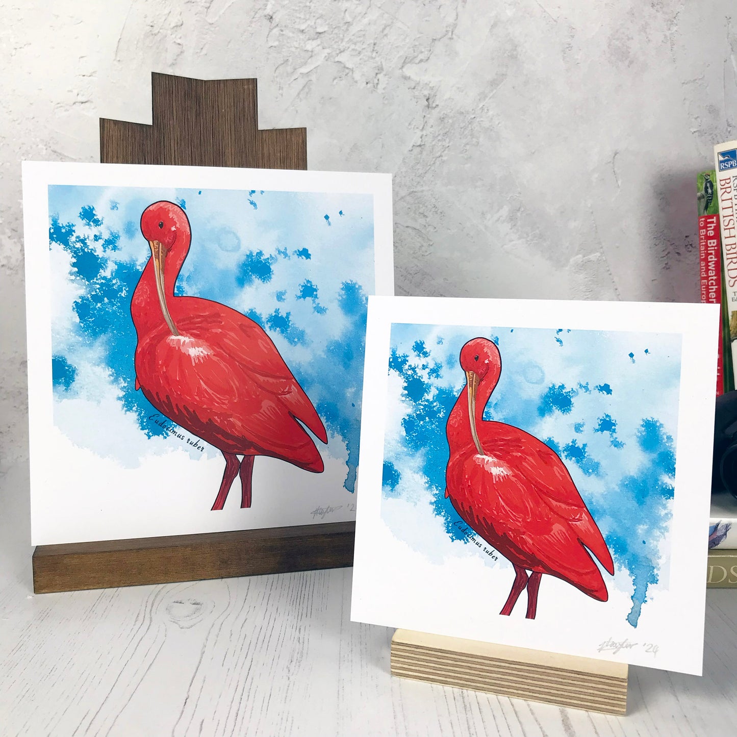 Scarlet Ibis Print