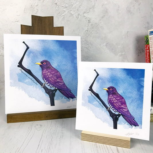 Violet Cuckoo Print