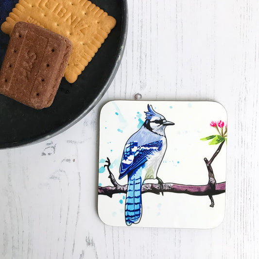 Blue Jay Drinks Coaster