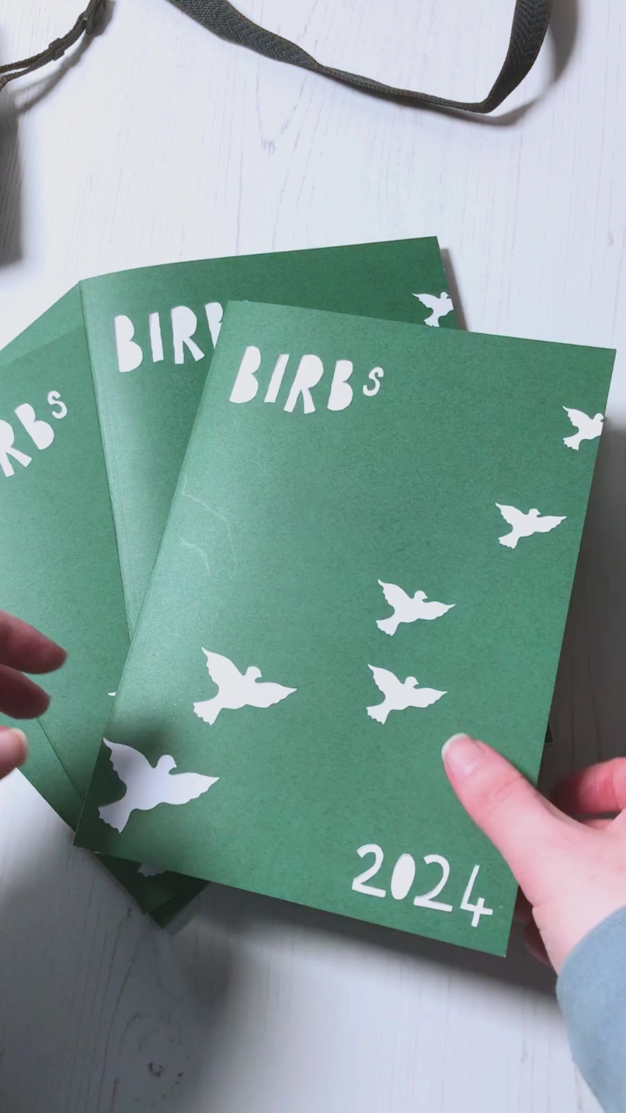 A video of flipping through the pages of the Birbs 2024 zine by Loadofolbobbins. On the right hand pages you can see original illustrations of different species of bird. The pages on the left have facts of each bird, a range map and their conservation status. 